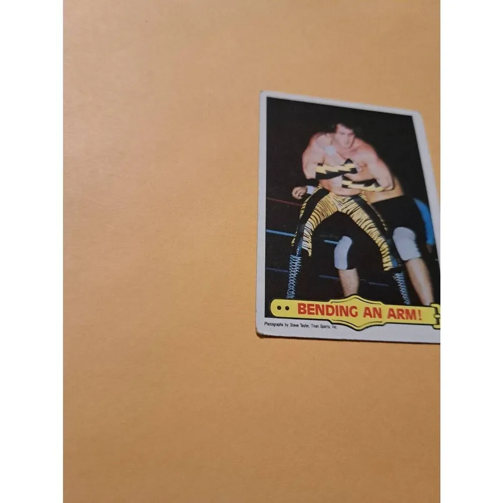 Vintage 1985 Topps WWF Wrestling Trading Card 41 Brutus Beefcake Ringside Action - Picture 2 of 4